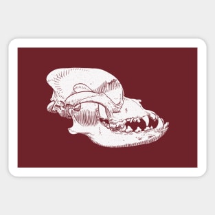 Skull of a boxer dog Sticker